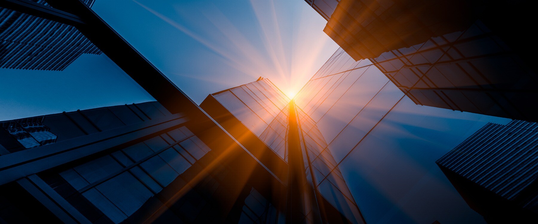 WE PROVIDE TAILORED SOLUTIONS TO ENTREPRENEURS